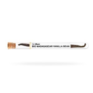 GymBeam BIO Madagascar vanilla bean