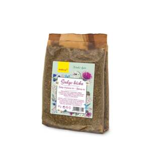Wolfberry Biljni čaj Ginkgo biloba