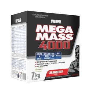 Gainer Giant Mega Mass 4000 - Weider