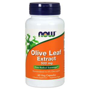 NOW Foods - Olive Leaf Extract