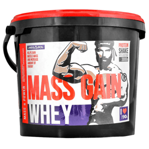 Megabol Whey Mass Gain 3000 g
