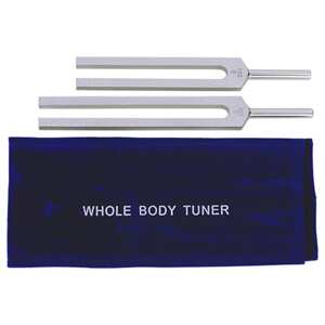 Phoenix Import Phoenix aluminijski terapeutski tuneri za cijelo tijelo Set od 2, C ton 256 Hz, G ton 384 Hz