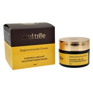 SoulTree Curcuma & Amla regenerativna krema za lice 50 g