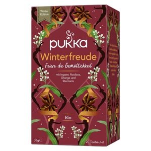 PUKKA Herbs Ayurvedic Bio Winter Warmer čaj 20 vrećica