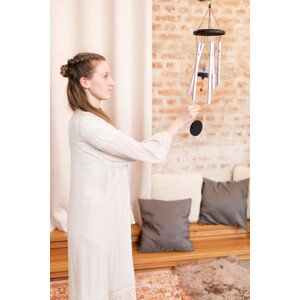 MEINL Sonic Energy Meditation udaraljke Chimes zvonce za meditaciju Vrsta: 2