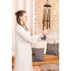 MEINL Sonic Energy Meditation udaraljke Chimes zvonce za meditaciju Vrsta: 8